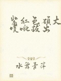 紫红色硕大噗呲噗呲拔出