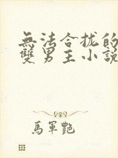无法合拢的总裁双男主小说