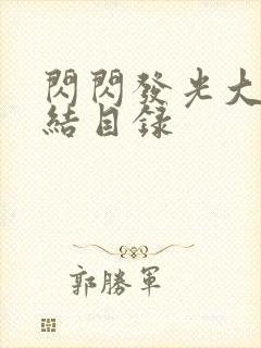 闪闪发光大团圆结目录封面