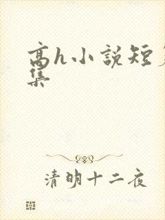 高h小说短篇合集