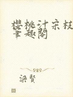 樱桃汁宋枝江野笔趣阁封面