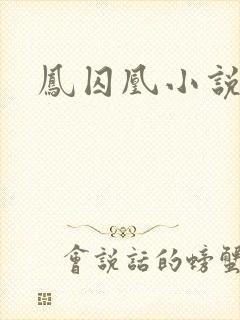 凤囚凰小说封面