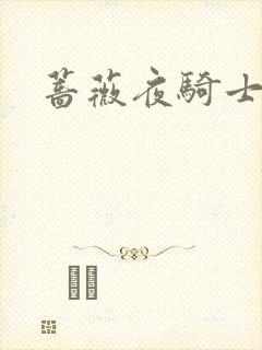 蔷薇夜骑士封面