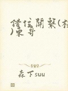 错位关系(校园)东哥封面