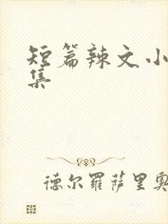 短篇辣文小说合集