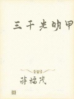 三千光明甲封面
