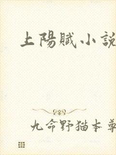 上阳赋小说