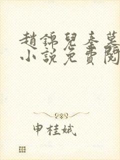 赵锦儿秦慕修的小说免费阅读全文封面