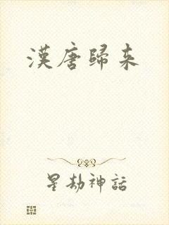汉唐归来
