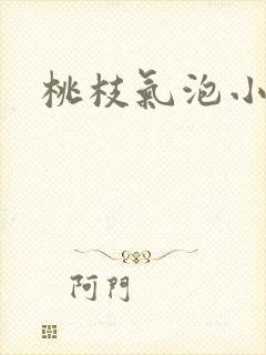 桃枝气泡小说