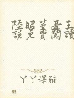 陆昭菱晋王的小说免费阅读