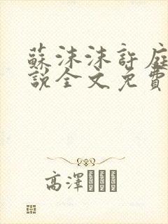 苏沫沫许庭川小说全文免费阅读