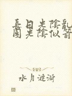 长日光阴乱作一团光阴似箭免费阅读封面