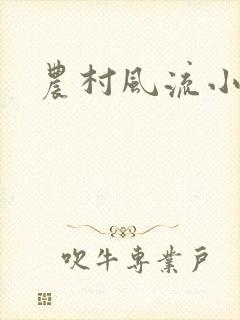 农村风流小说