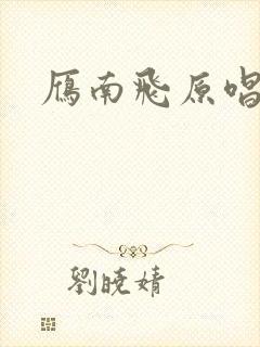 雁南飞原唱封面