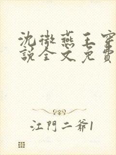 沈微燕王穿越小说全文免费阅读封面