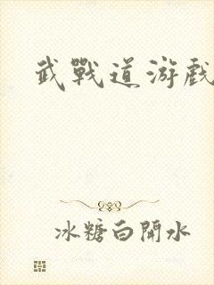 武战道游戏