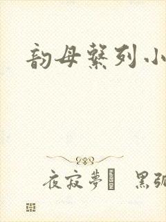 韵母系列小说