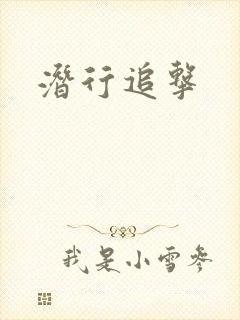 潜行追击封面
