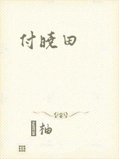 付晓田