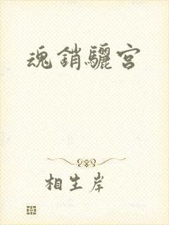 魂销骊宫