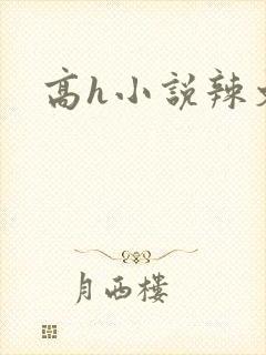 高h小说辣文封面
