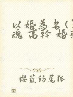 以婚为名 (军魂 高干 婚恋)