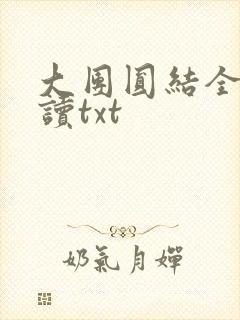 大团圆结全文阅读txt