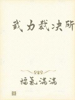 武力裁决所