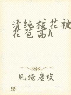 清纯校花被迫开花苞高h封面