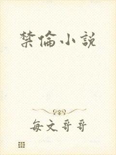 禁伦小说封面