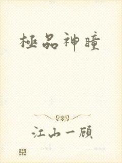 极品神瞳