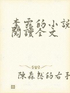 李霖的小说免费阅读全文封面