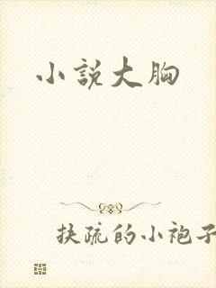 小说大胸