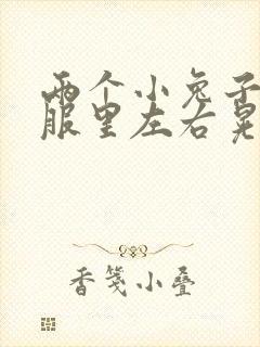 两个小兔子在衣服里左右晃