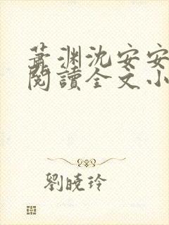 萧渊沈安安免费阅读全文小说封面
