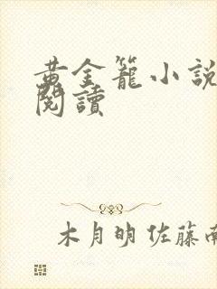 黄金笼小说免费阅读封面