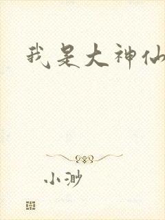 我是大神仙小说