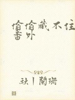 偷偷藏不住新婚番外