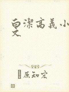 白洁高义小说全文