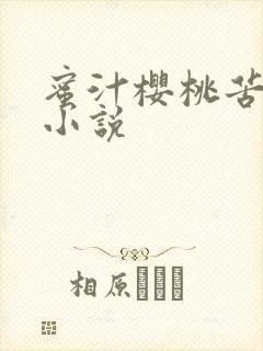 蜜汁樱桃苦咖啡小说