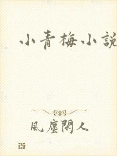 小青梅小说