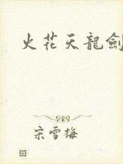 火花天龙剑