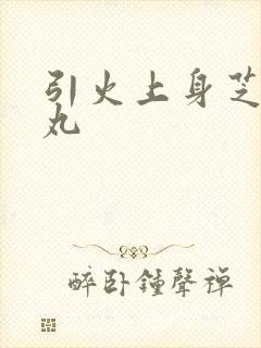 引火上身芝麻糖丸