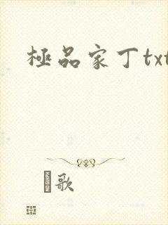 极品家丁txt