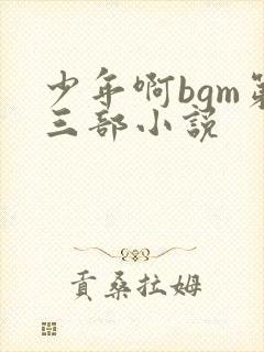 少年啊bgm第三部小说