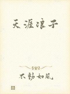 天涯浪子封面