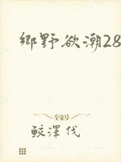 乡野欲潮28章