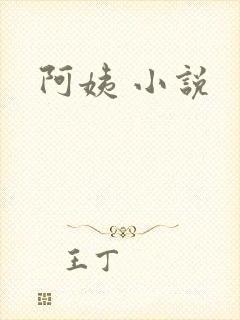 阿姨 小说