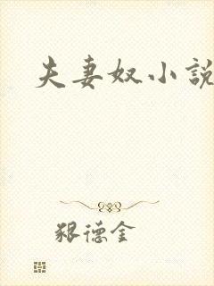 夫妻奴小说